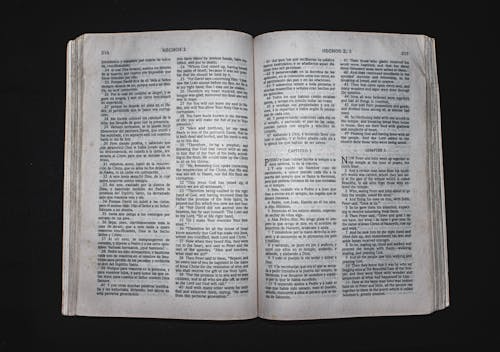 Managing Multilingual Versions in Movie Script Translation